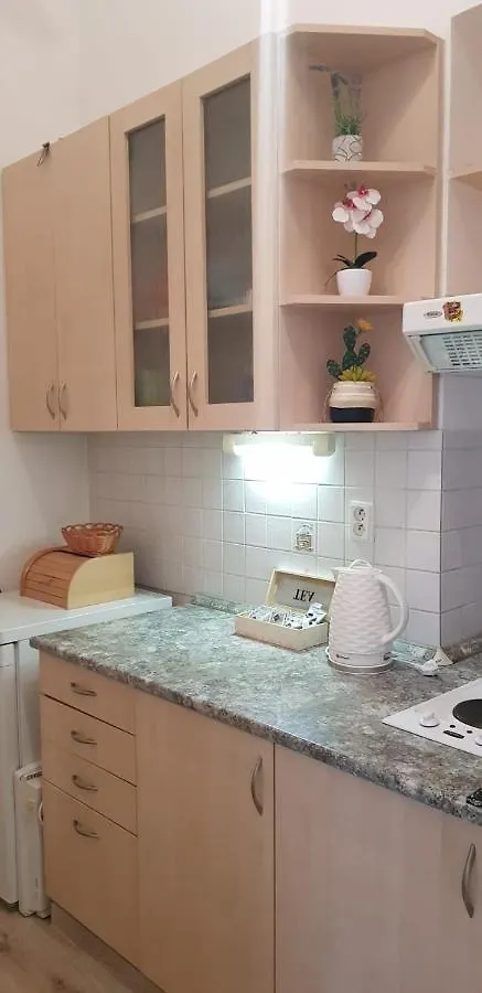 Ksenia Apartment Karlovy Vary
