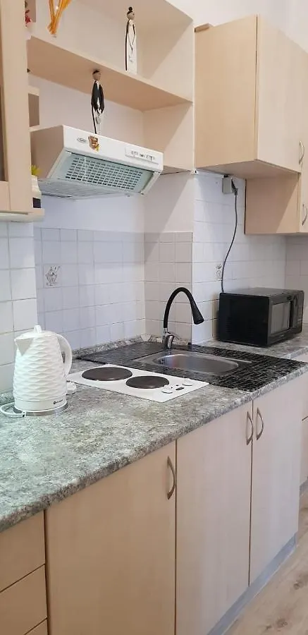 Ksenia Apartment Karlovy Vary Czech Republic