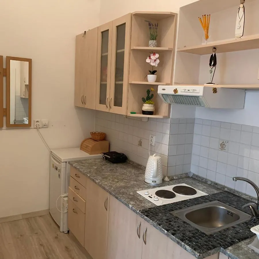 Ksenia Apartment Karlovy Vary