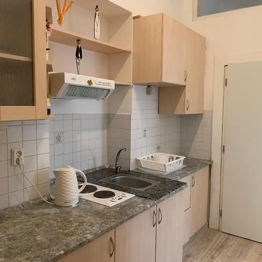 Ksenia Apartment Karlovy Vary
