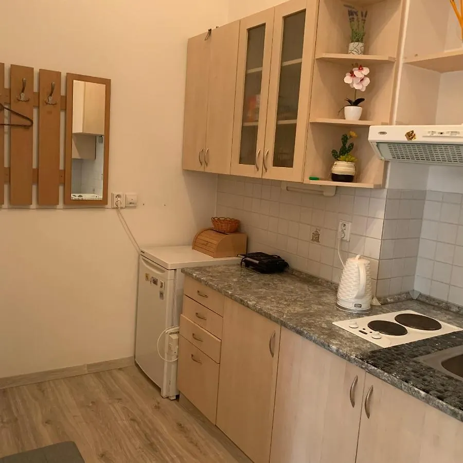 Ksenia Apartment Karlovy Vary